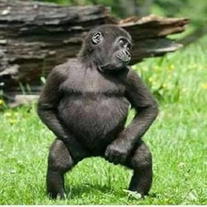 Meet your Posher, Abdulkadir